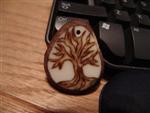 Tagua Nut ~ Tree